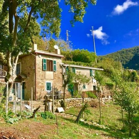 La Quiete Accesa Hotel Вернаца Екстериор снимка